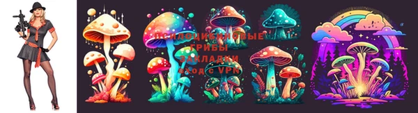 MESCALINE Аркадак
