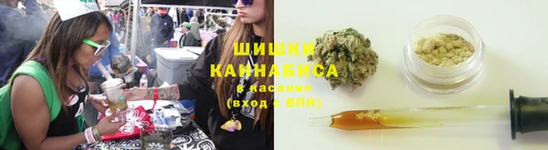 ГАЛЛЮЦИНОГЕННЫЕ ГРИБЫ Армянск