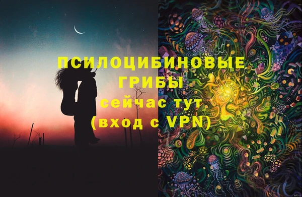 ГАЛЛЮЦИНОГЕННЫЕ ГРИБЫ Армянск